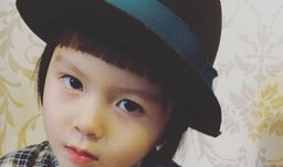 麻豆骗,网络诈骗新手段背后的真相